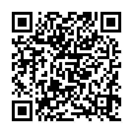 QR code for ZYL970