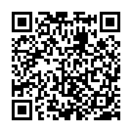 QR code for ZYN161
