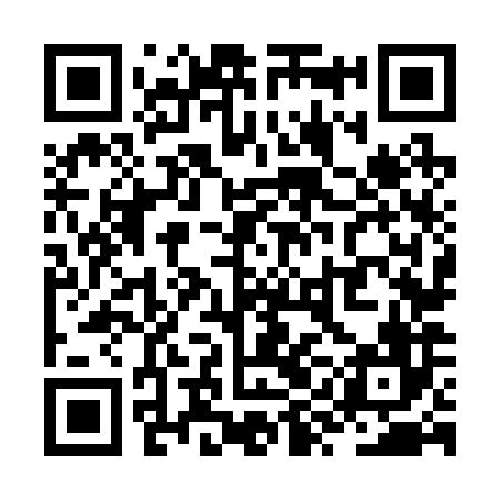 QR code for ZYN286