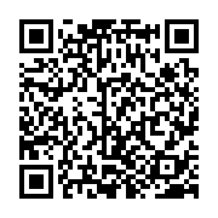 QR code for ZYN338