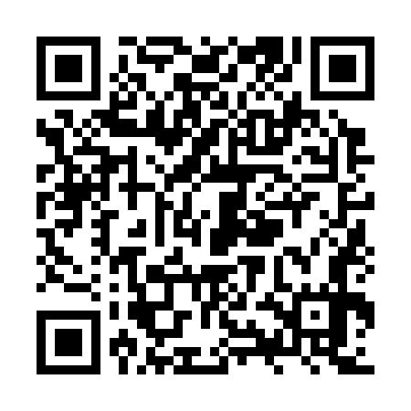 QR code for ZYN377