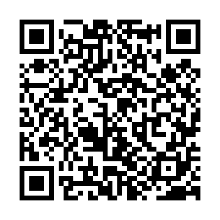 QR code for ZYN450