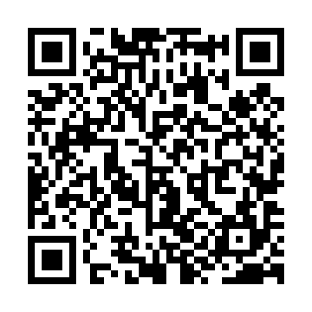 QR code for ZYN494