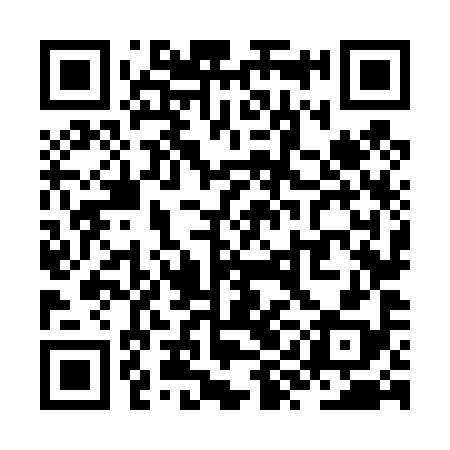 QR code for ZYN498