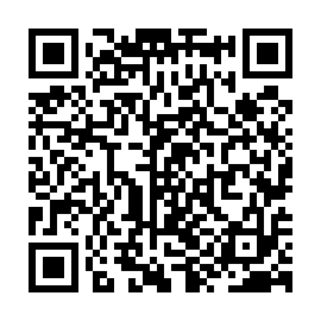 QR code for ZYN513
