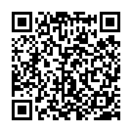 QR code for ZYN675