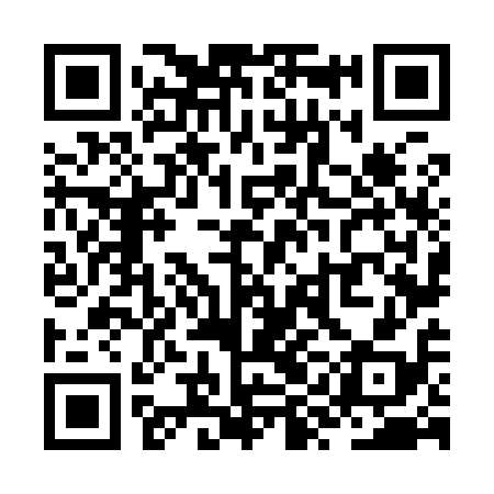 QR code for ZYN918