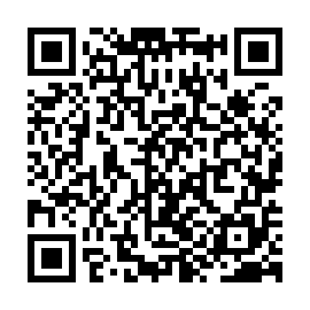 QR code for ZYN955