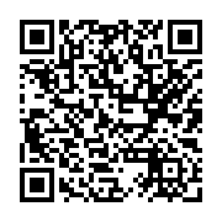 QR code for ZYN991