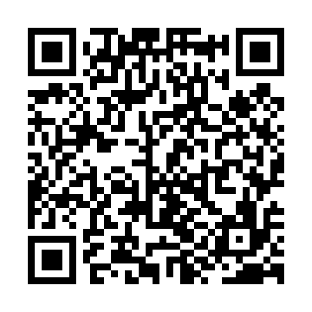 QR code for ZYO416