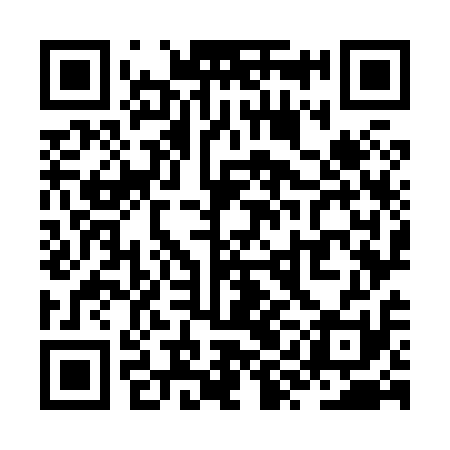 QR code for ZYO811