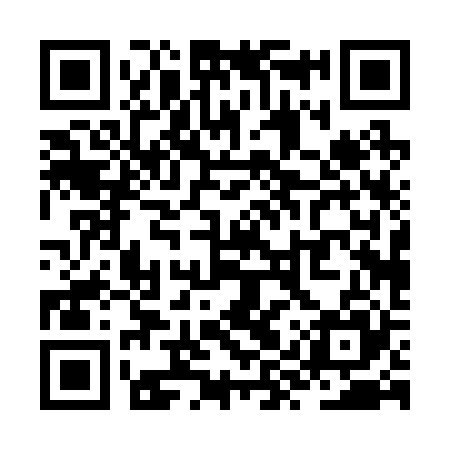 QR code for ZYP225