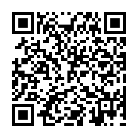 QR code for ZYP251