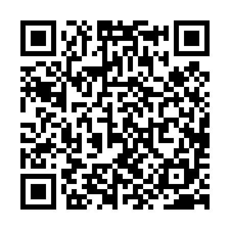 QR code for ZYP495