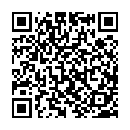 QR code for ZYP508