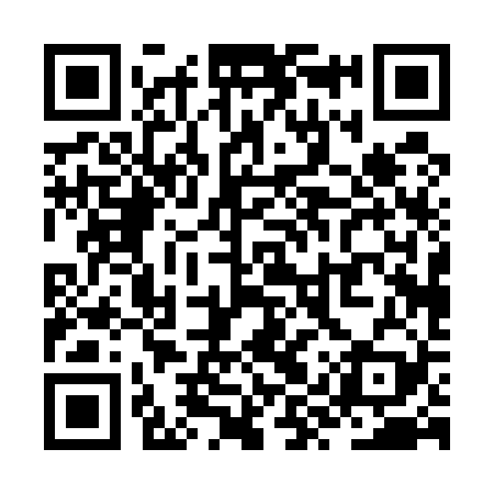 QR code for ZYP529
