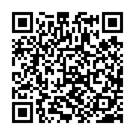 QR code for ZYP608