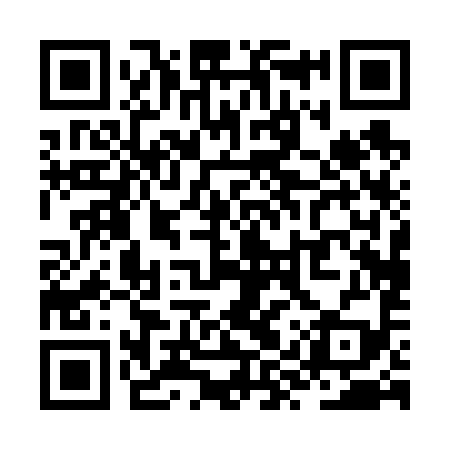 QR code for ZYP699