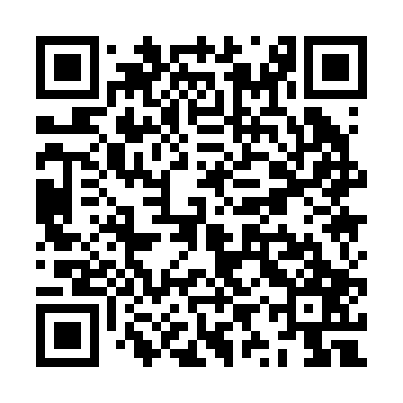 QR code for ZYQ207
