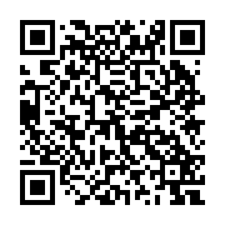 QR code for ZYQ227