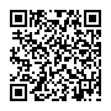 QR code for ZYQ334