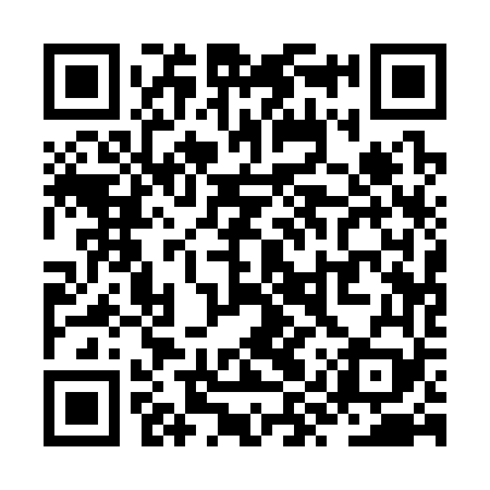 QR code for ZYQ369