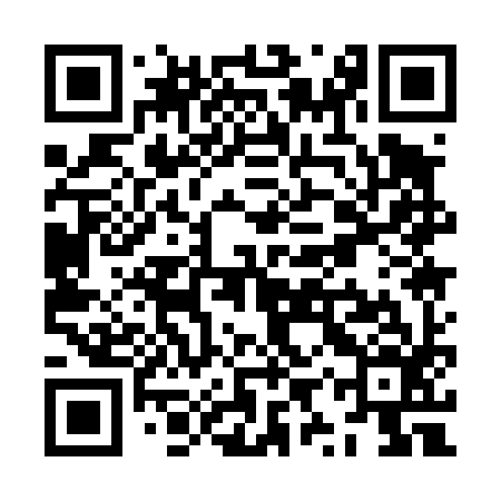 QR code for ZYQ496