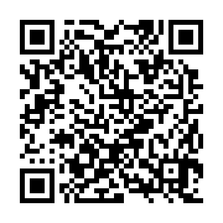 QR code for ZYR384