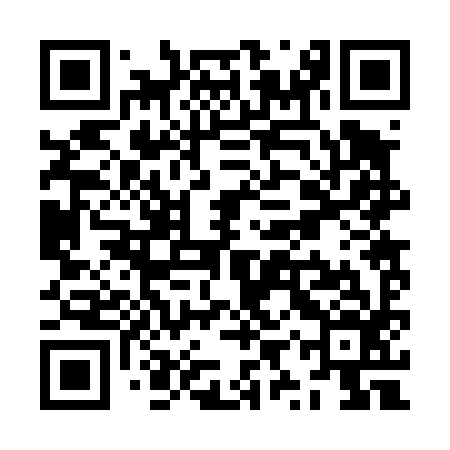 QR code for ZYR496