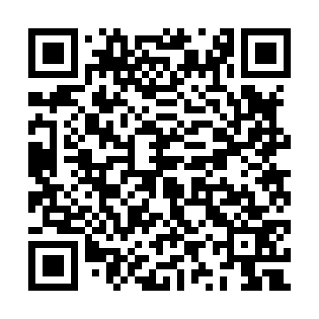 QR code for ZYR873