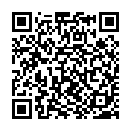 QR code for ZYS191