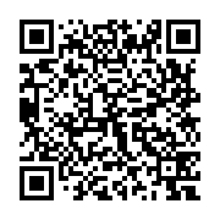 QR code for ZYS979