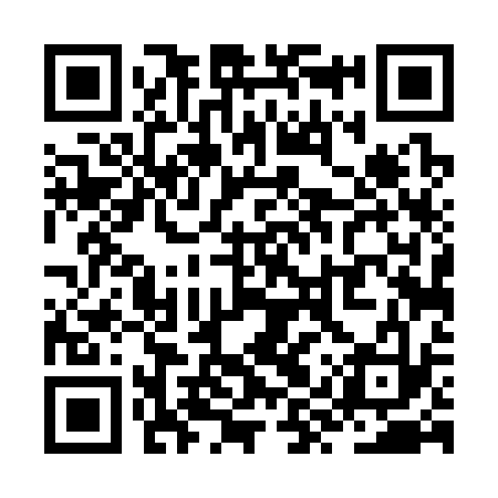 QR code for ZYT333