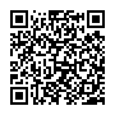 QR code for ZYT691