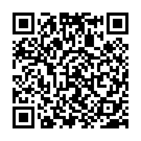 QR code for ZYU078
