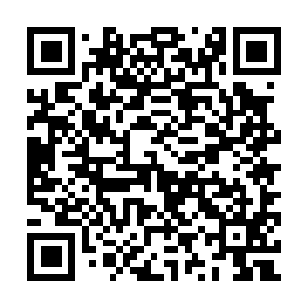 QR code for ZYU095