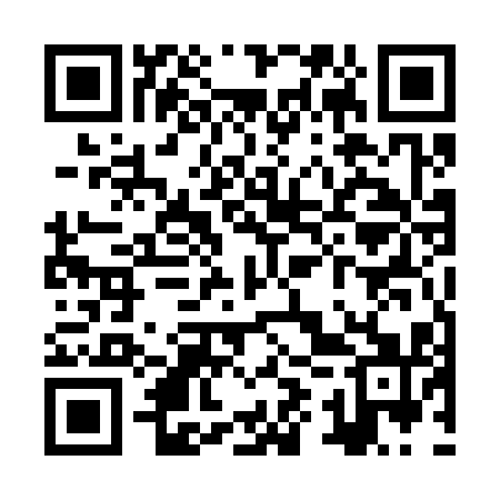 QR code for ZYU311