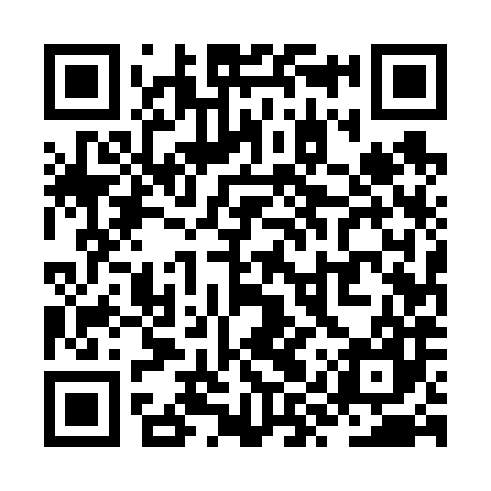 QR code for ZYU687