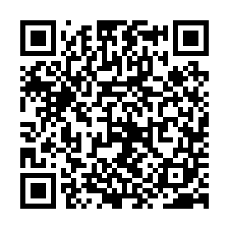 QR code for ZYV241