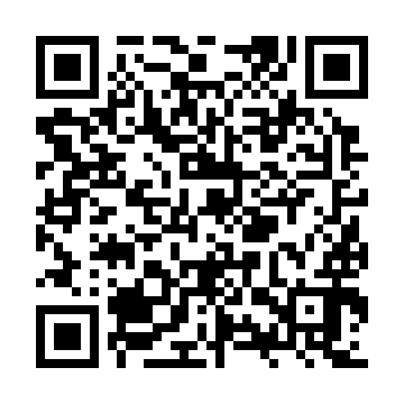 QR code for ZYV392