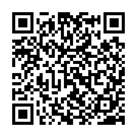 QR code for ZYV750
