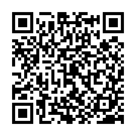 QR code for ZYW541