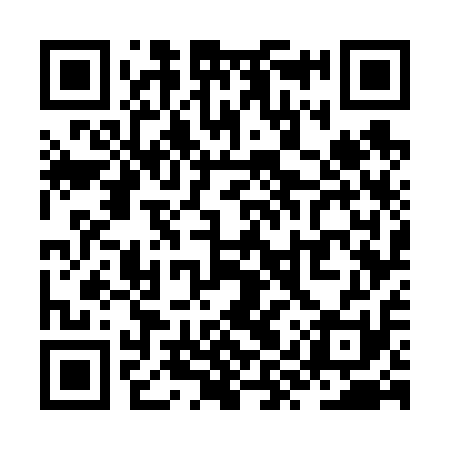 QR code for ZYW611