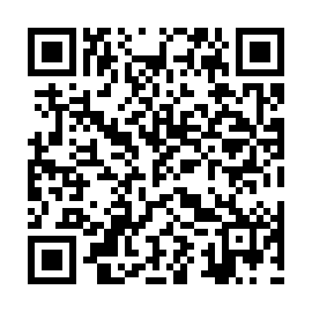QR code for ZYX382