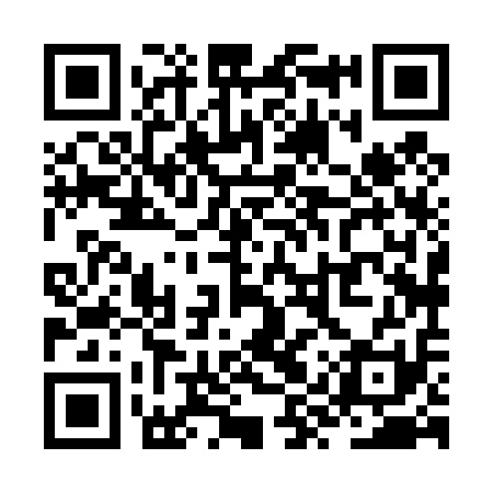 QR code for ZYX411