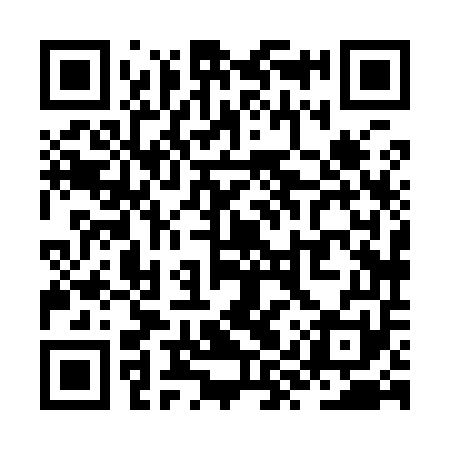 QR code for ZYX951