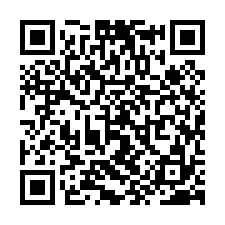 QR code for ZYY032
