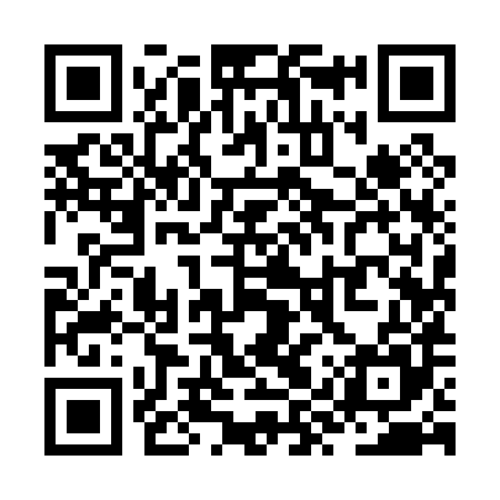 QR code for ZYY085
