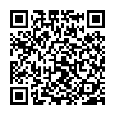 QR code for ZYY229