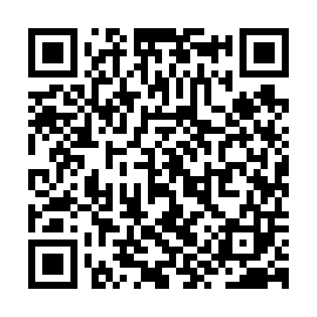 QR code for ZYY603